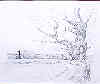 Detailed drawing of aged tree, Caister Castle in background, a typical Norfolk scene.