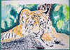My painting represents a portrait of a tiger relaxing. However, the tiger looks a bit angry and maybe ready to pounce on prey. I created it as a characterisation from a photograph and I very much like the detail of the tigers face, part of its body a