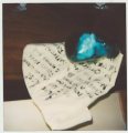 This is a textile piece. The poem is the loss I felt at my son losing his potential in life. The shirt signifies the man he would have become. Glass head full of cotton wool is anti-psychotic drugs.