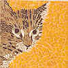 I chose to make a mosaic of a cat, and this cat reminds me of my own.