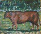 I painted this bull from sketches I did recently on holiday. He is a Devon Red.