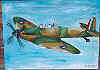 My picture is an oil painting of a piston engined spitfire of World War Two. It was copied off a model spitfire. It took one week to finish from beginning to end.