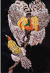 I have been using Batik as a fine art medium for over thirty years.  This Batik was done from a drawing made in the Zoology Museum, Cambridge.  Batik is a long process using wax resist and dyes on white cotton or silk.  The wax must be taken off afte