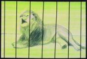 My painting 'Lion With Bars' aims to capture the feelings of the lion and to convey its innate dignity as it roars in sadness.